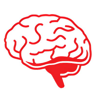 Brain